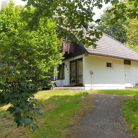 Ferienhaus Tony- Dein Persoenliches Ferienhaus Zum Wohlfuehlen Appartement Frankenau Buitenkant foto