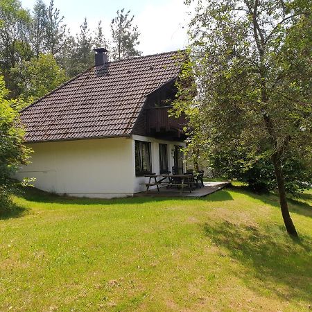 Ferienhaus Tony- Dein Persoenliches Ferienhaus Zum Wohlfuehlen Appartement Frankenau Buitenkant foto