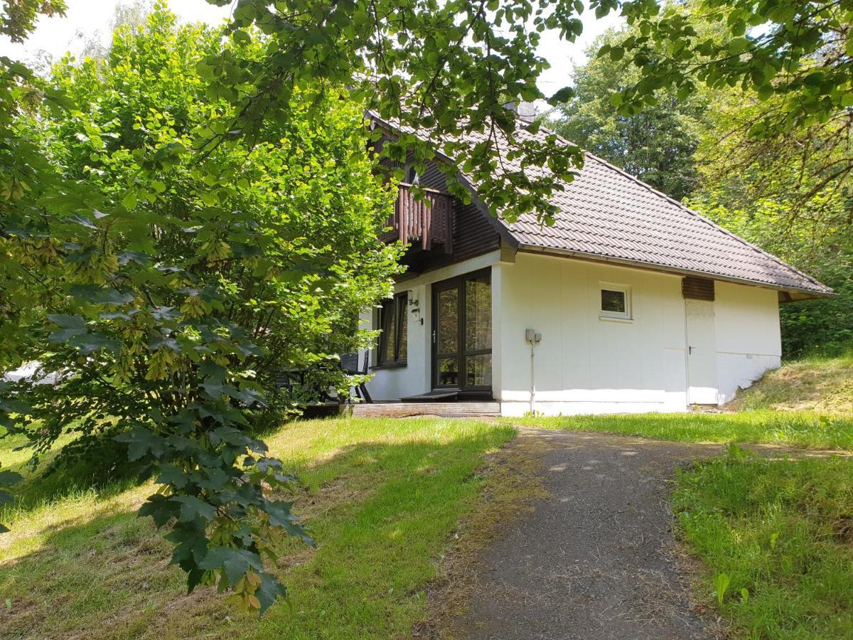 Ferienhaus Tony- Dein Persoenliches Ferienhaus Zum Wohlfuehlen Appartement Frankenau Buitenkant foto