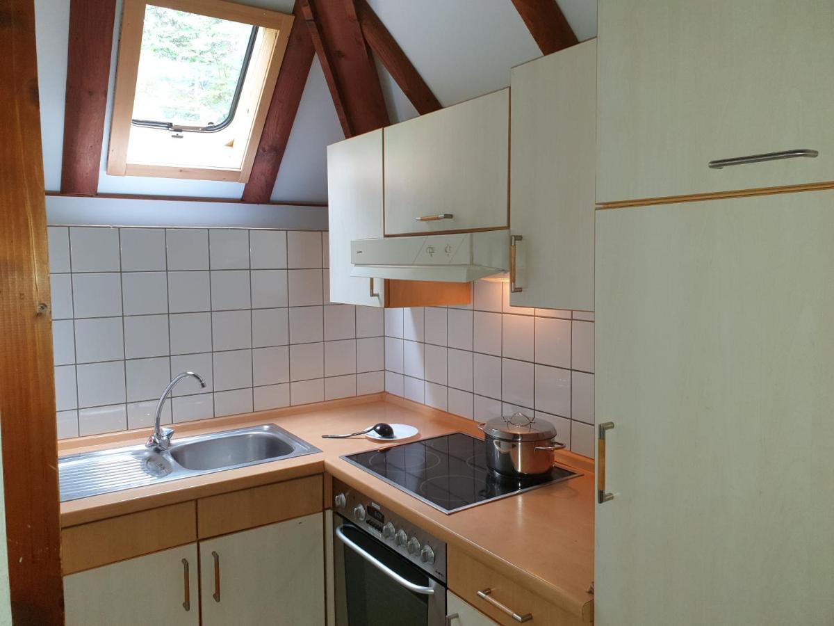 Ferienhaus Tony- Dein Persoenliches Ferienhaus Zum Wohlfuehlen Appartement Frankenau Buitenkant foto